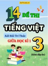 Tuyển tập 14 Đề thi giữa học kì 1 môn Tiếng Việt Lớp 3 Kết Nối Tri Thức (Kèm đáp án)